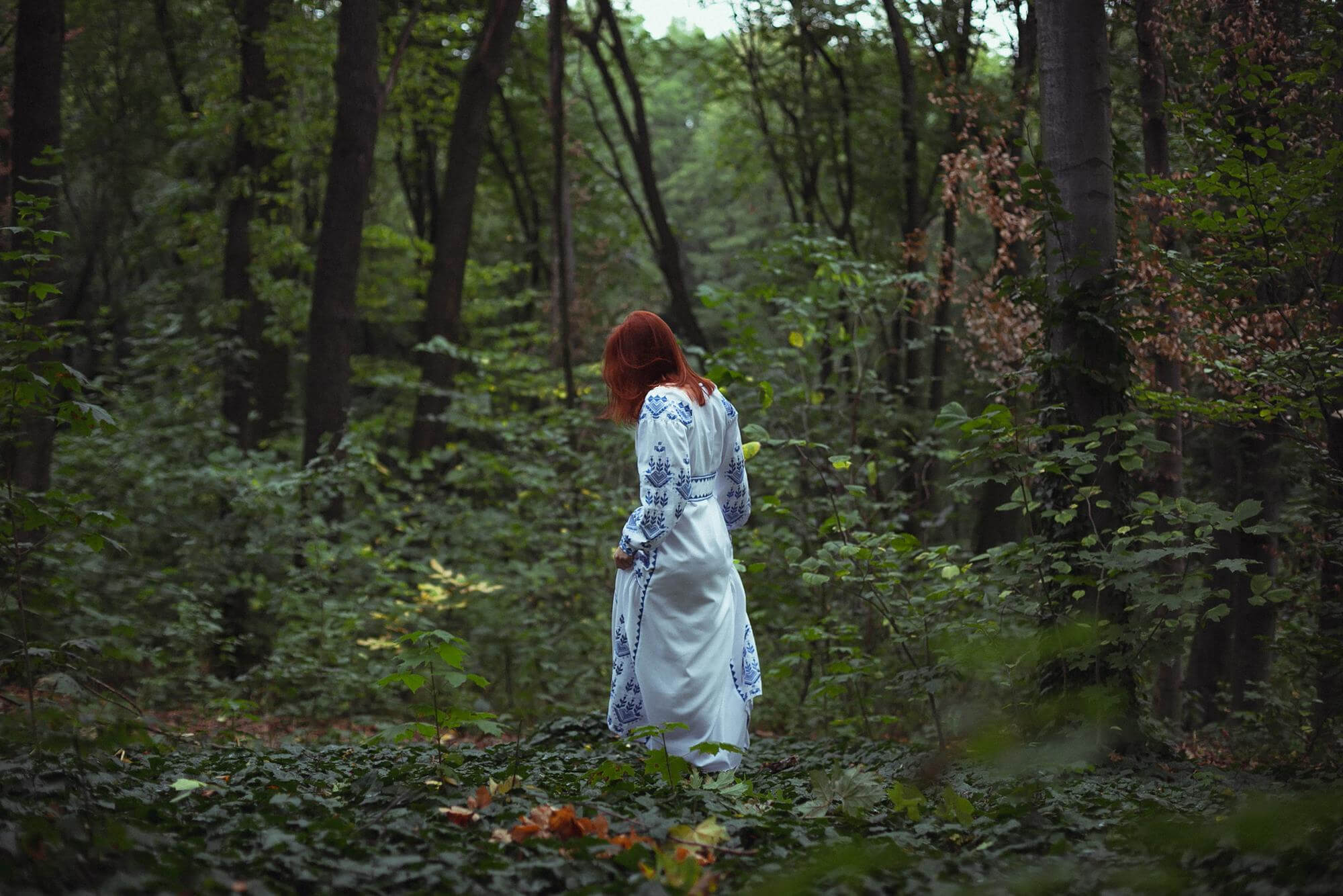 Three of the Best Day Trips to Make from Francisco